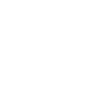 ico31