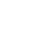 ico33