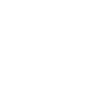 ico19